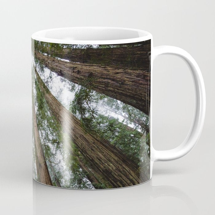 Redwood Forest Adventure VI - Nature Photography Coffee Mug Gallery Image 1