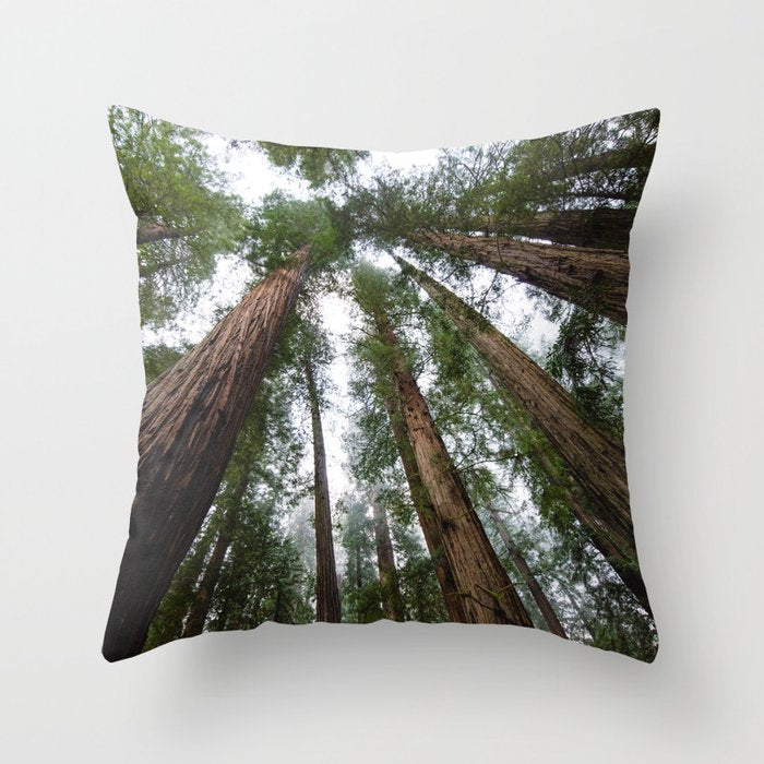Redwood Forest Adventure VI - Nature Photography Throw Pillow Gallery Image 6