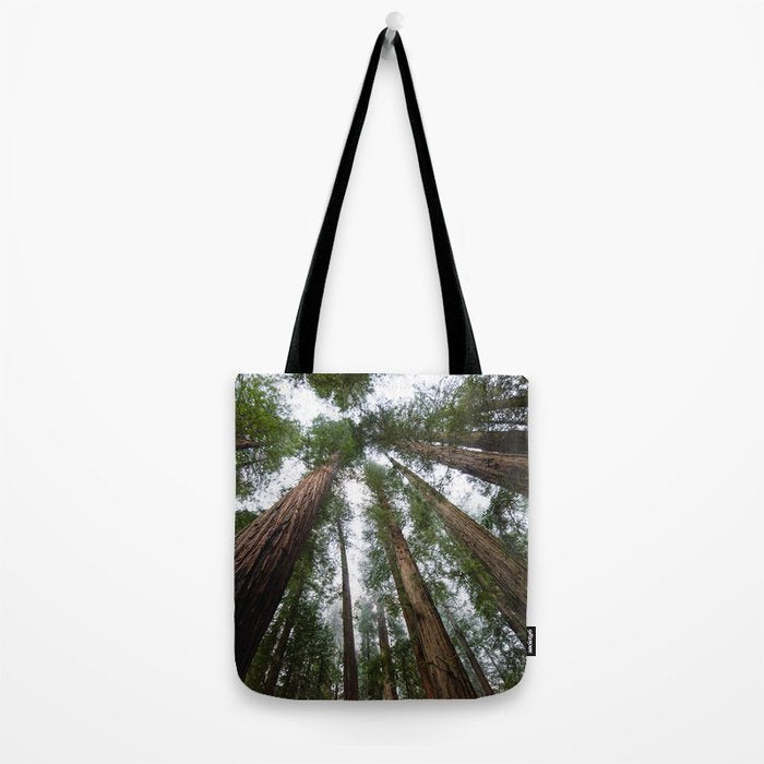 Redwood Forest Adventure VI - Nature Photography Tote Bag Gallery Image 2