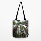 Redwood Forest Adventure VI - Nature Photography Tote Bag Gallery Image 2