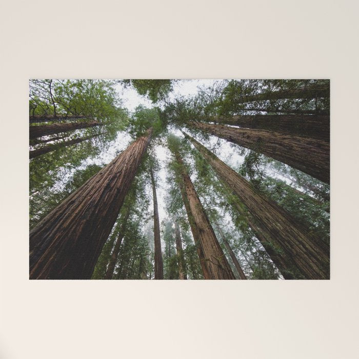 Redwood Forest Adventure VI - Nature Photography Welcome Mat Gallery Image 1