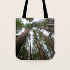 Redwood Forest Adventure VI - Nature Photography Tote Bag Gallery Image 1