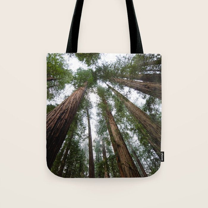 Redwood Forest Adventure VI - Nature Photography Tote Bag Gallery Image 1