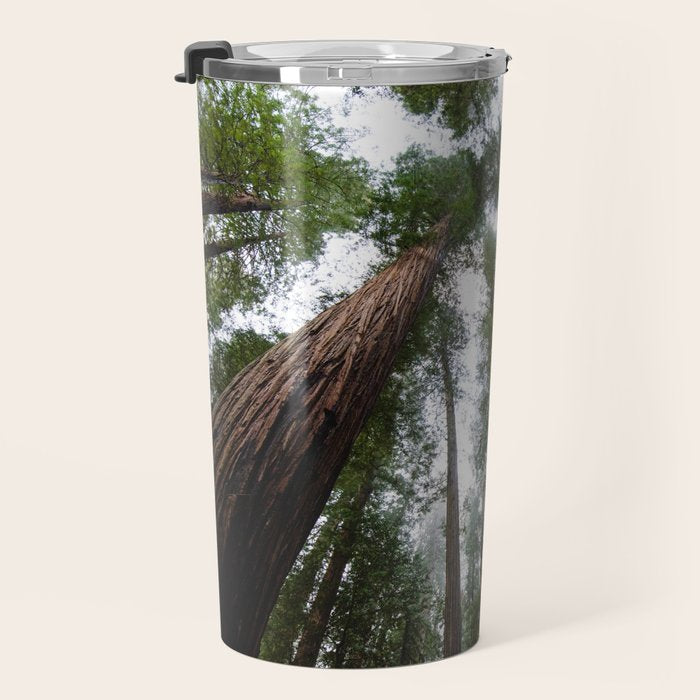 Redwood Forest Adventure VI - Nature Photography Travel Mug Gallery Image 3