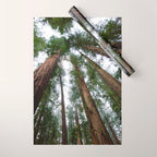 Redwood Forest Adventure VI - Nature Photography Wrapping Paper Gallery Image 1