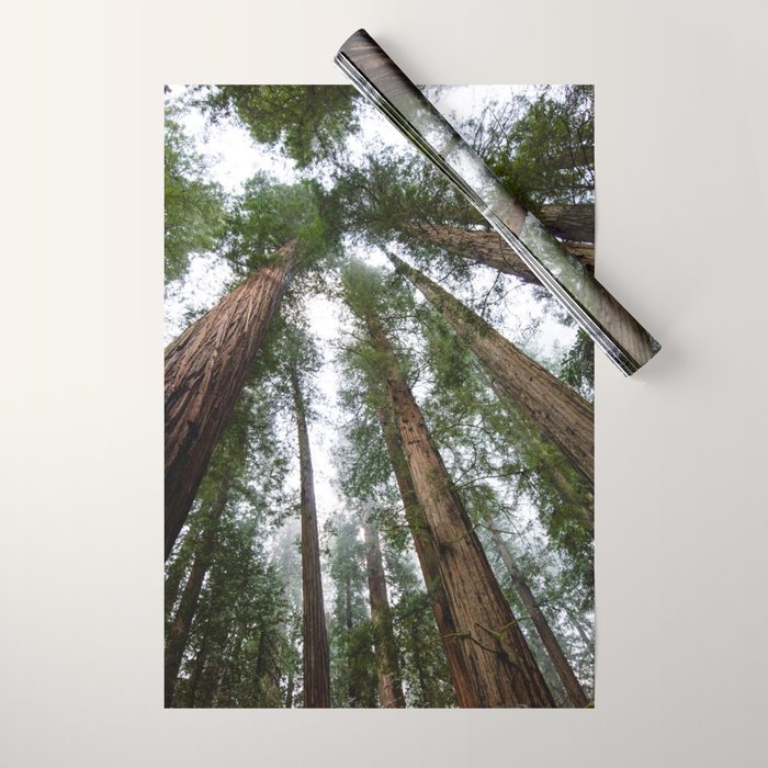 Redwood Forest Adventure VI - Nature Photography Wrapping Paper Gallery Image 1