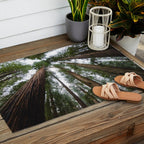 Redwood Forest Adventure VI - Nature Photography Outdoor Rug Gallery Image 2