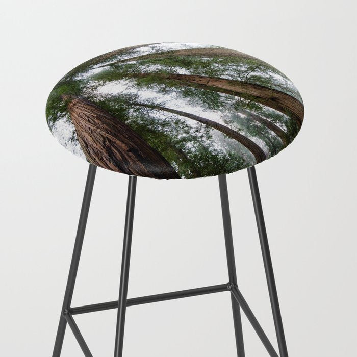 Redwood Forest Adventure VI - Nature Photography Stool Gallery Image 2