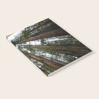 Redwood Forest Adventure VI - Nature Photography Notebook Gallery Image 2