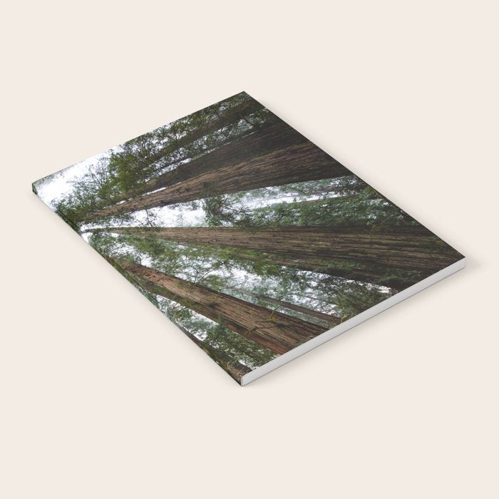 Redwood Forest Adventure VI - Nature Photography Notebook Gallery Image 2