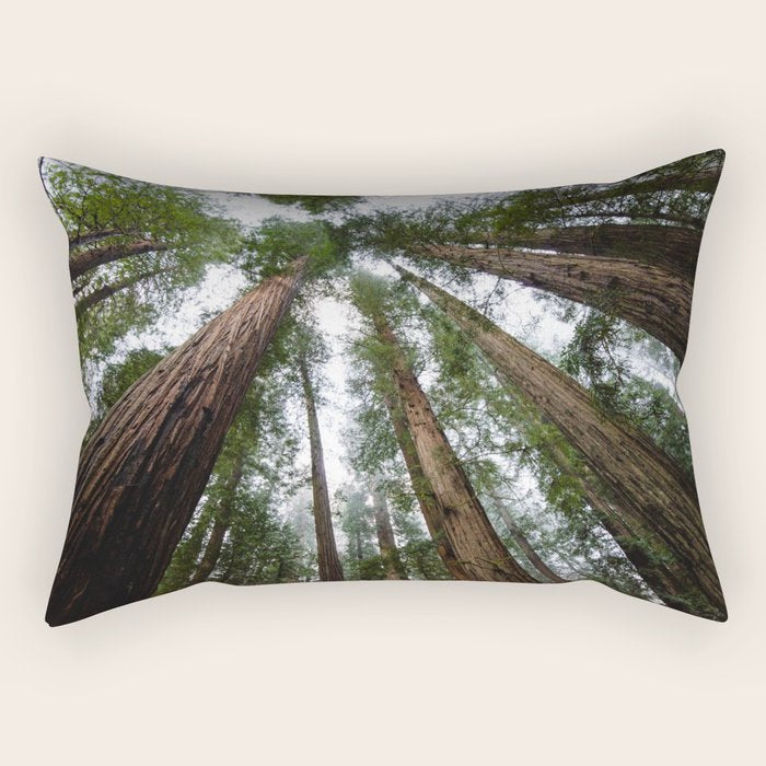 Redwood Forest Adventure VI - Nature Photography Rectangular Pillow Gallery Image 2