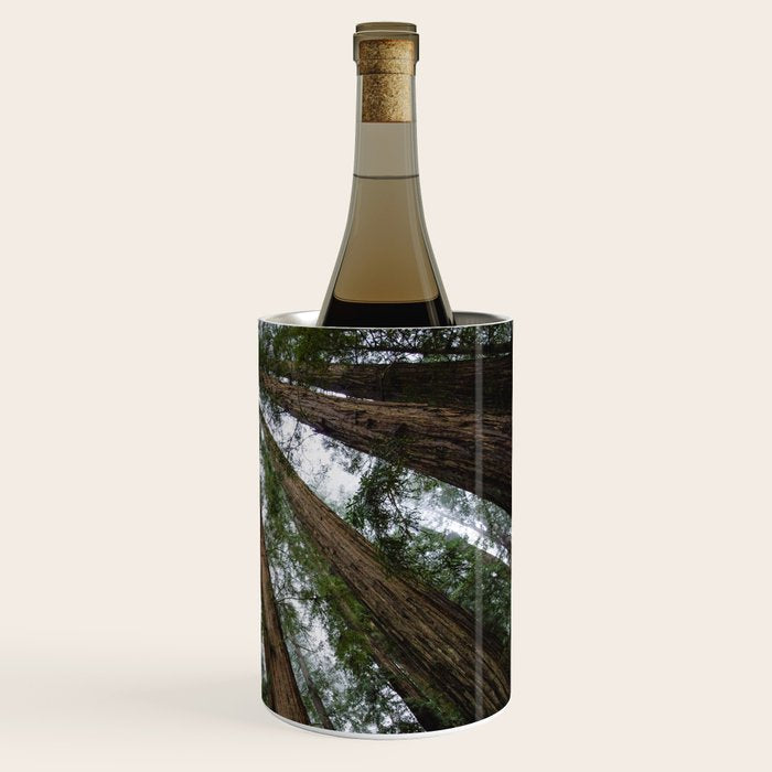 Redwood Forest Adventure VI - Nature Photography Wine Chiller Gallery Image 3