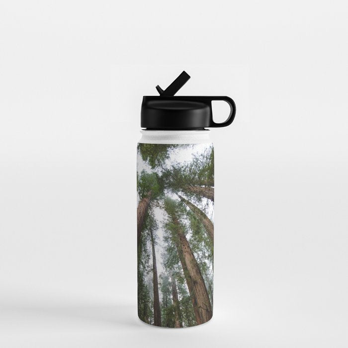 Redwood Forest Adventure VI - Nature Photography Water Bottle Gallery Image 1