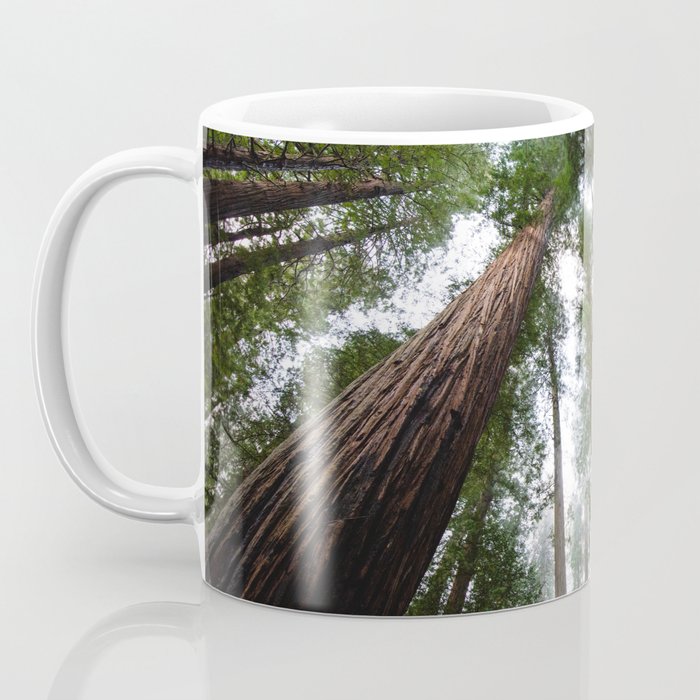 Redwood Forest Adventure VI - Nature Photography Coffee Mug Gallery Image 3