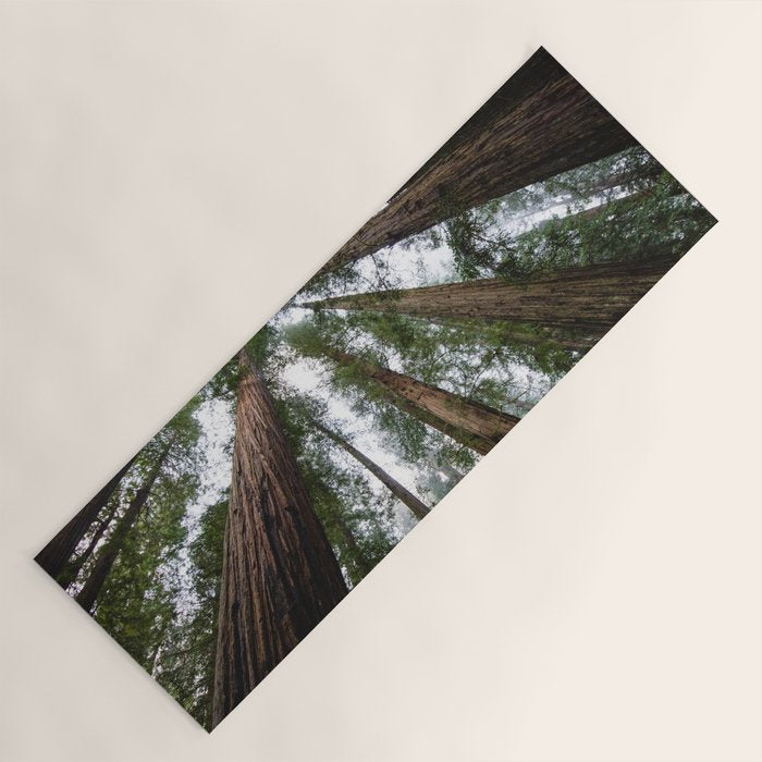 Redwood Forest Adventure VI - Nature Photography Yoga Mat Gallery Image 1