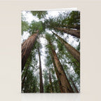 Redwood Forest Adventure VI - Nature Photography Stationery Card Gallery Image 2