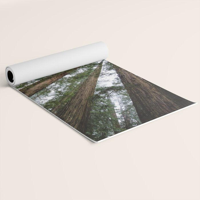 Redwood Forest Adventure VI - Nature Photography Yoga Mat Gallery Image 2