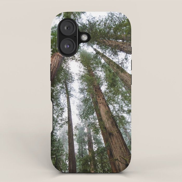 Redwood Forest Adventure VI - Nature Photography iPhone Case Gallery Image 1