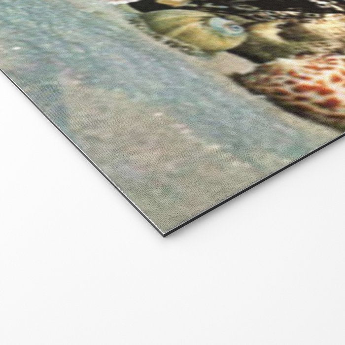 Greetings from Seashells! Welcome Mat Gallery Image 2