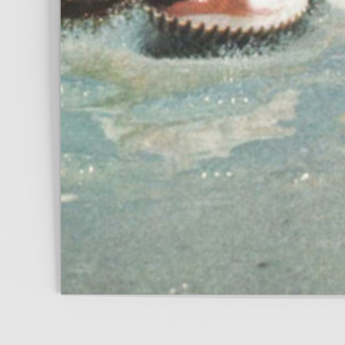 Greetings from Seashells! Poster Gallery Image 3