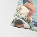 Greetings from Seashells! Pillow Sham Gallery Image 4