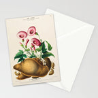Sweet potato from "Flore dâAmÃ©rique" by Ãtienne Denisse, 1840s Stationery Card Gallery Image 2