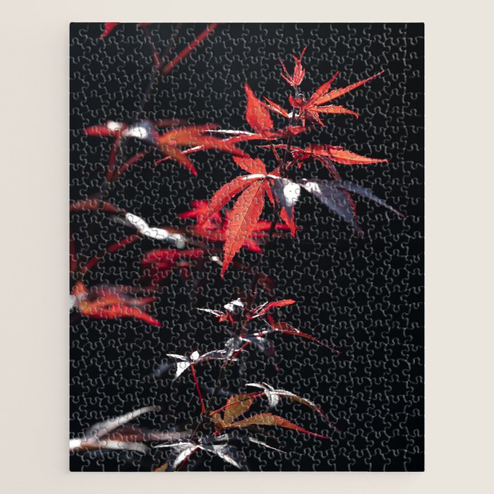 Botanical red japanese maple leaves art print - botanical nature and travel photography Jigsaw Puzzle Gallery Image 1