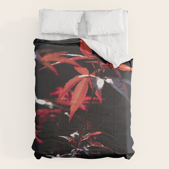 Botanical red japanese maple leaves art print - botanical nature and travel photography Comforter Gallery Image 6