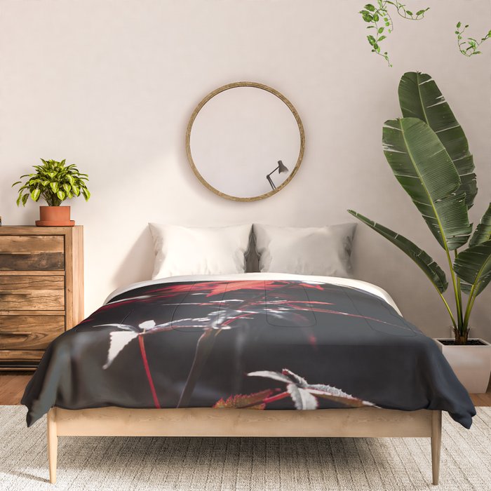 Botanical red japanese maple leaves art print - botanical nature and travel photography Comforter Gallery Image 3