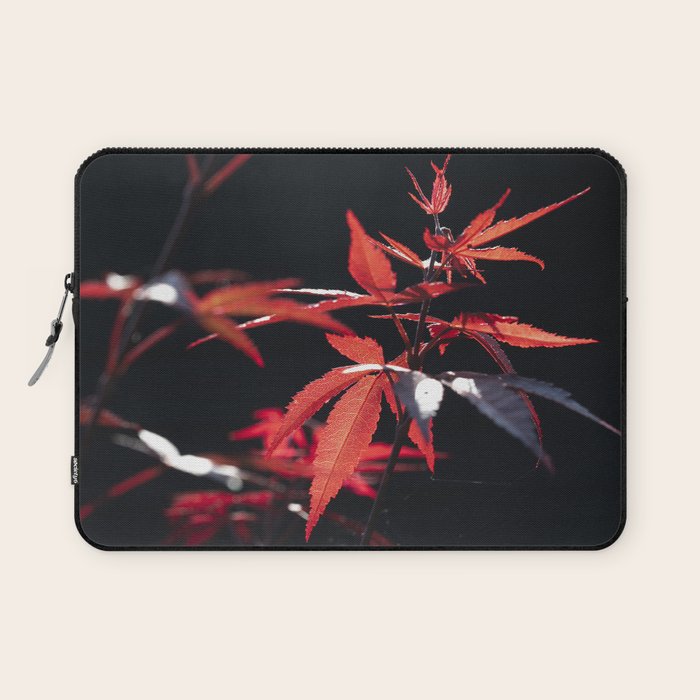 Botanical red japanese maple leaves art print - botanical nature and travel photography Laptop Sleeve Gallery Image 1