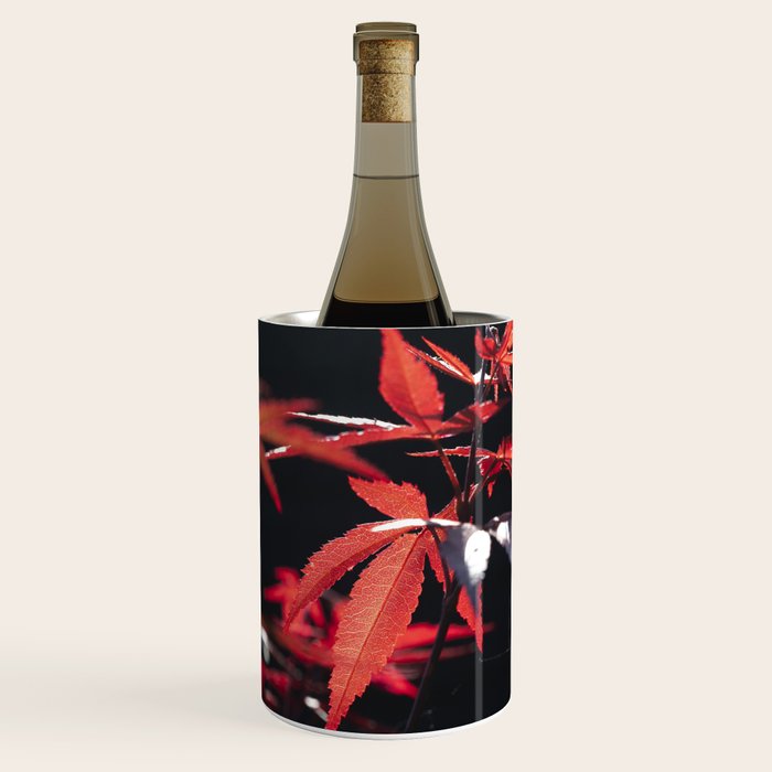 Botanical red japanese maple leaves art print - botanical nature and travel photography Wine Chiller Gallery Image 1
