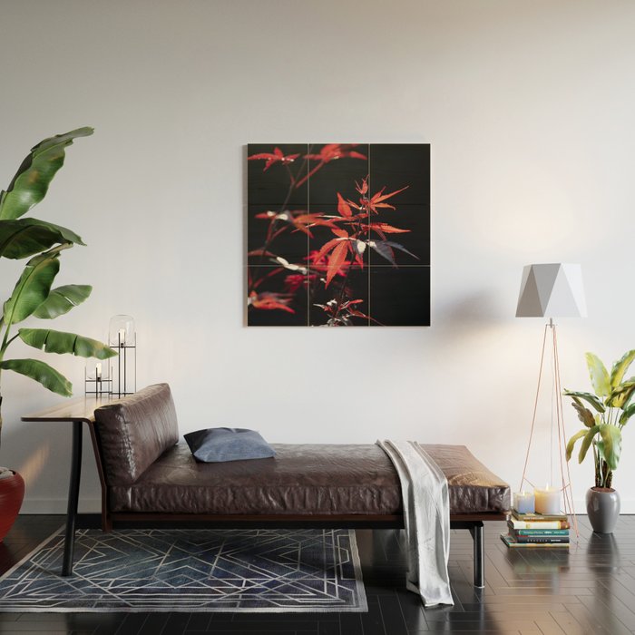 Botanical red japanese maple leaves art print - botanical nature and travel photography Wood Wall Art Gallery Image 2