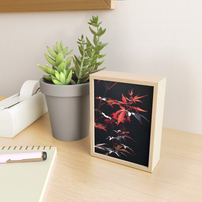 Botanical red japanese maple leaves art print - botanical nature and travel photography Mini Art Print Gallery Image 2