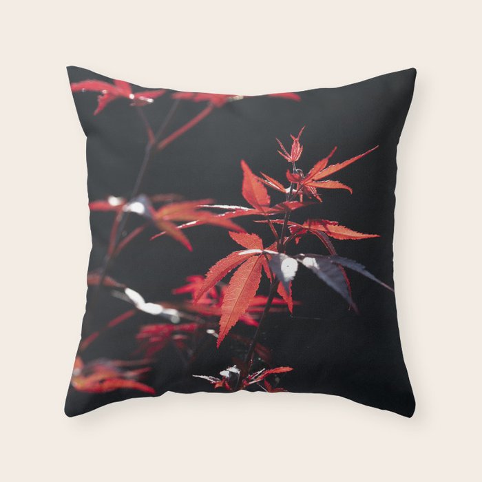 Botanical red japanese maple leaves art print - botanical nature and travel photography Throw Pillow Gallery Image 6