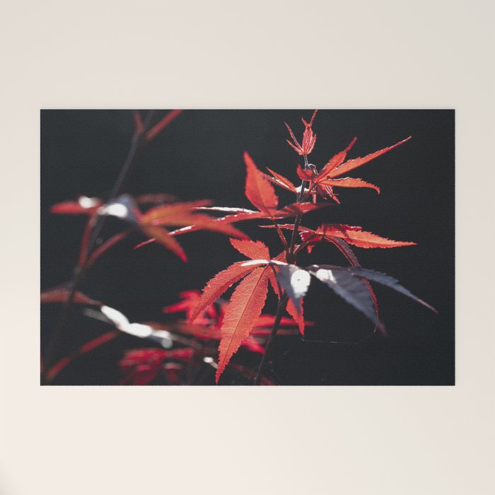 Botanical red japanese maple leaves art print - botanical nature and travel photography Welcome Mat Gallery Image 1
