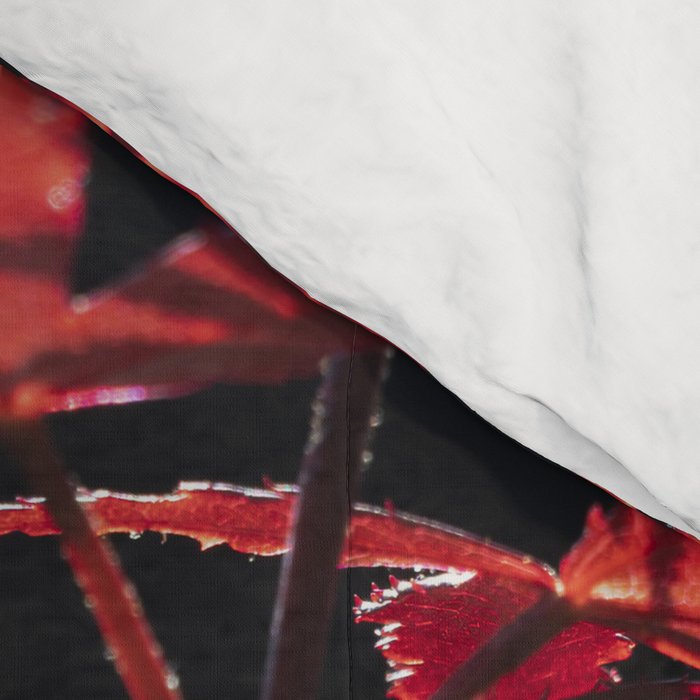 Botanical red japanese maple leaves art print - botanical nature and travel photography Comforter Gallery Image 4