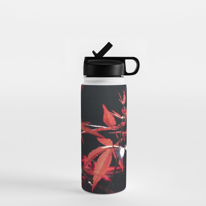 Botanical red japanese maple leaves art print - botanical nature and travel photography Water Bottle Gallery Image 1