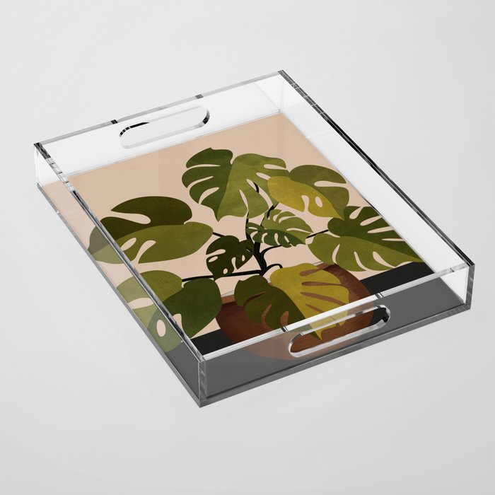 Monstera Plant In A Pot 1 Acrylic Tray Gallery Image 1