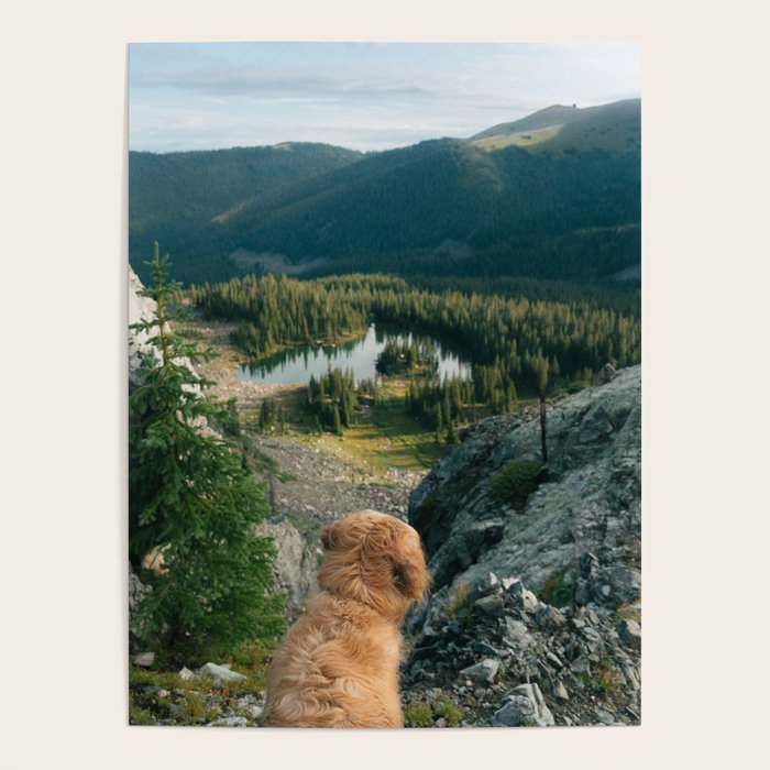 Lookout Enzo Poster Gallery Image 1