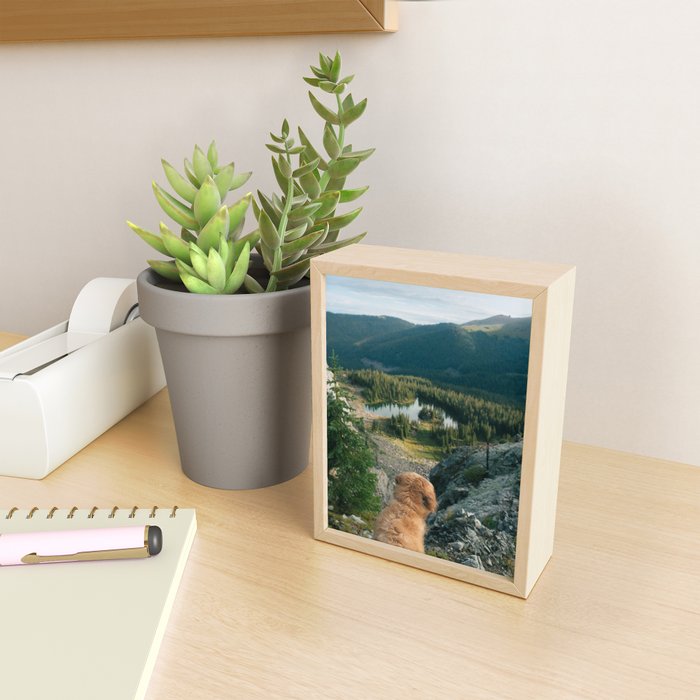 Lookout Enzo Mini Art Print Gallery Image 2