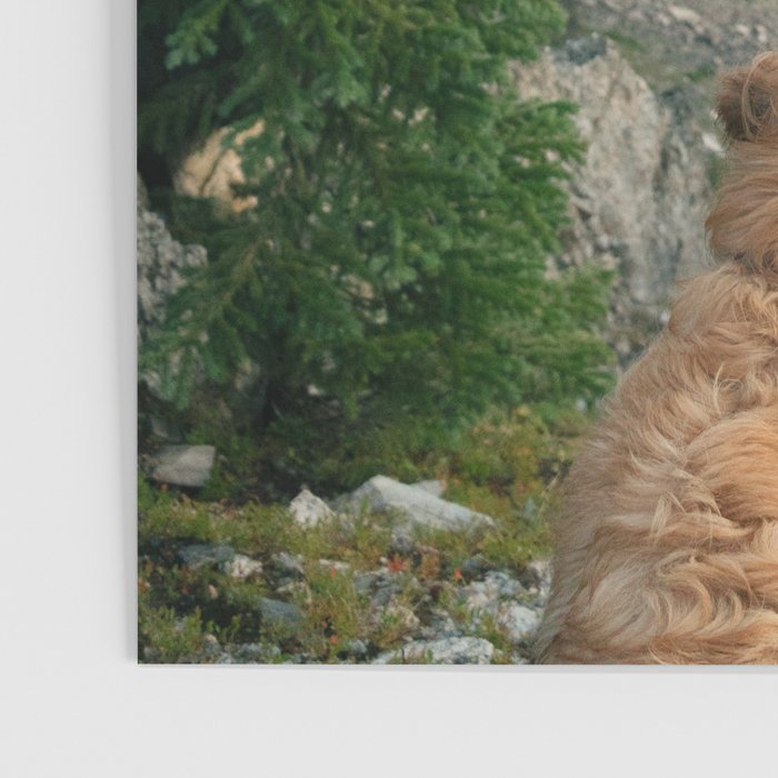 Lookout Enzo Poster Gallery Image 3