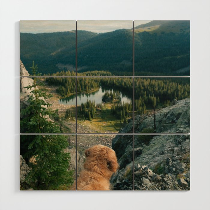 Lookout Enzo Wood Wall Art Gallery Image 1