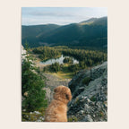 Lookout Enzo Poster Gallery Image 4
