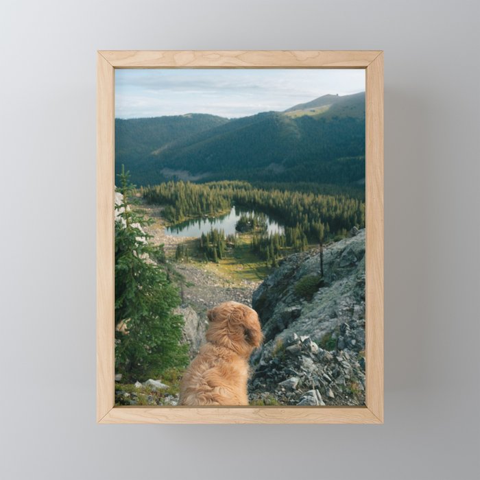 Lookout Enzo Mini Art Print