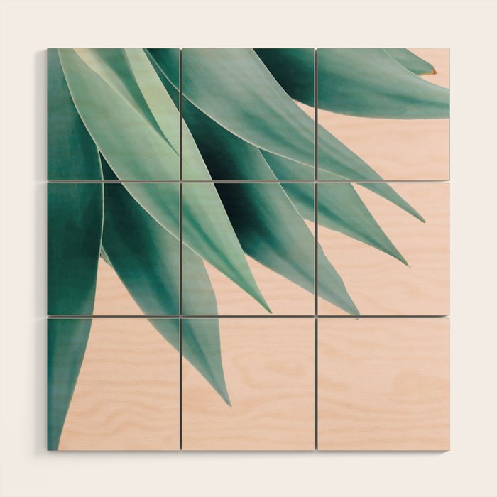 Agave flare Wood Wall Art Gallery Image 1