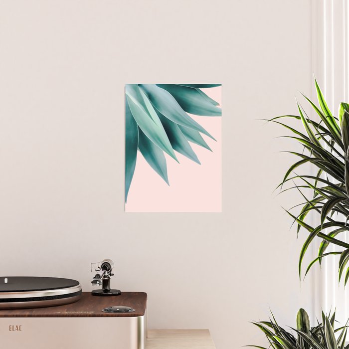 Agave flare Poster Gallery Image 2