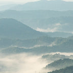 Blue Ridge Parkway - Shenandoah National Park Coffee Mug Gallery Image 2