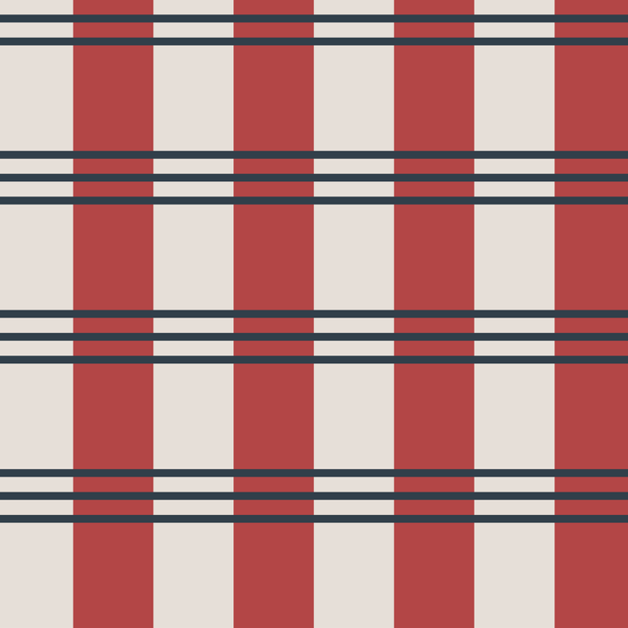 Winter 2025 Red Plaid Coffee Mug Gallery Image 2