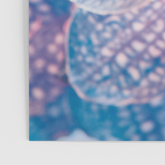 Abstract Orchid Flower Poster Gallery Image 3