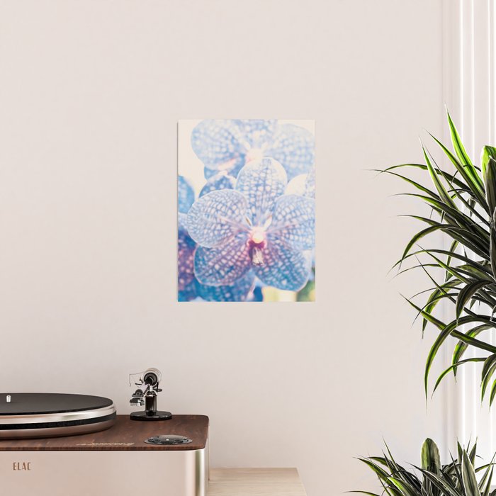 Abstract Orchid Flower Poster Gallery Image 2